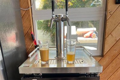 Boost Your Immune System with Kombucha on Tap at Home