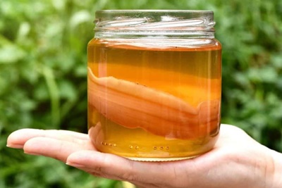 Kombucha Health Benefits Guide