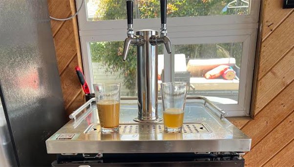 Boost Your Immune System with Kombucha on Tap at Home