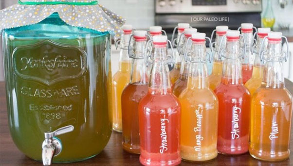 Bi-Annual Kombucha Home Brewing Class